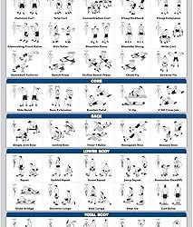 Best Dumbbells Back Workout Kit: Grip, Support and Ceiling