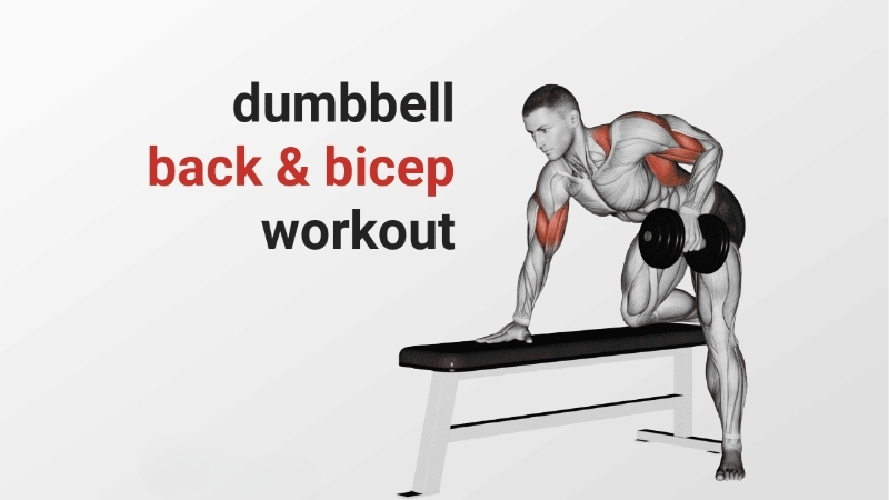 How the Best Back Exercise Dumbbells Unlock Different Movements
