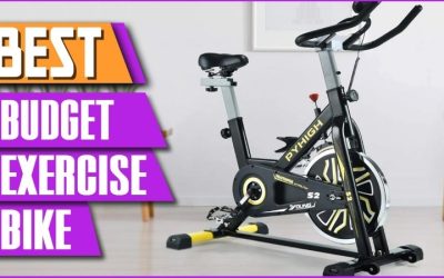 Best Affordable Exercise Bike: 6 Picks by Flywheel Weight