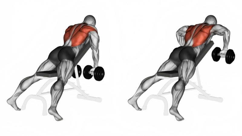 How to Equip the Best Dumbbells Back Workout at Home