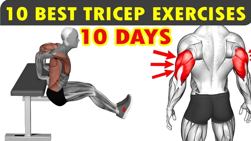 What the Best Triceps Exercises With Dumbbells Demand From Kit