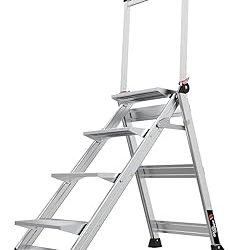 Best Little Giant Ladder (2026)