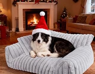 Best Sofa For Dogs Owners (2026)