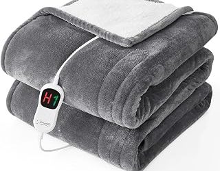Best Twin Heated Blanket (2026)