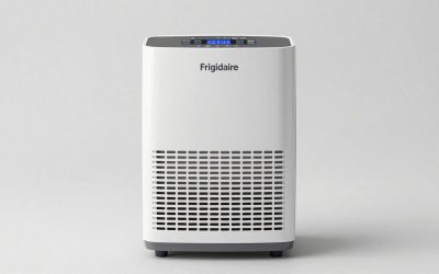 Best Frigidaire Dehumidifier: Six Models in Three Sizes, Matched to Real Rooms