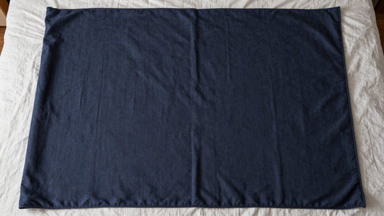 Best Heated Throw Blanket With Auto Shut Off for the Couch