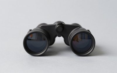 Best Night Vision Goggles for Hunting