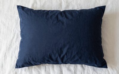 Best Pillow For Travel On Plane (2026)