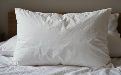 Best Pillows For Acid Reflux (2026)