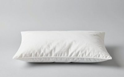 Maternity Pillow for Back Pain: Bed Size, Mattress Fit and 6 Picks