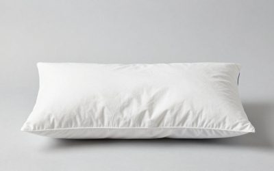 Pregnancy Pillow for Belly Sleepers: Mattress Setup and 6 Picks
