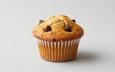 Pumpkin Chocolate Chip Muffin Recipe
